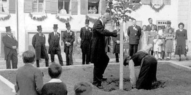 Hier wird 1950 eine Linde eingepflanzt