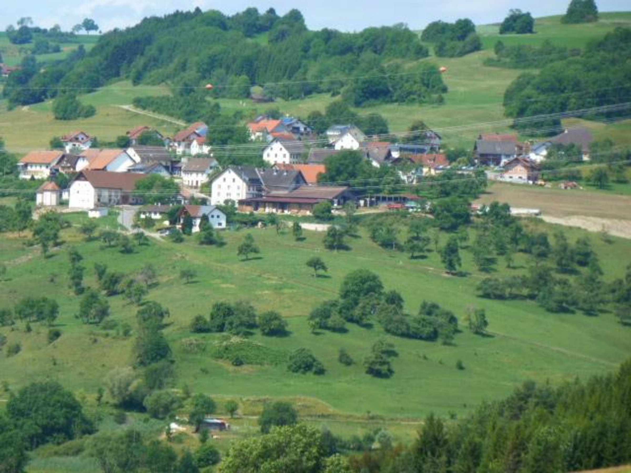 Wangen