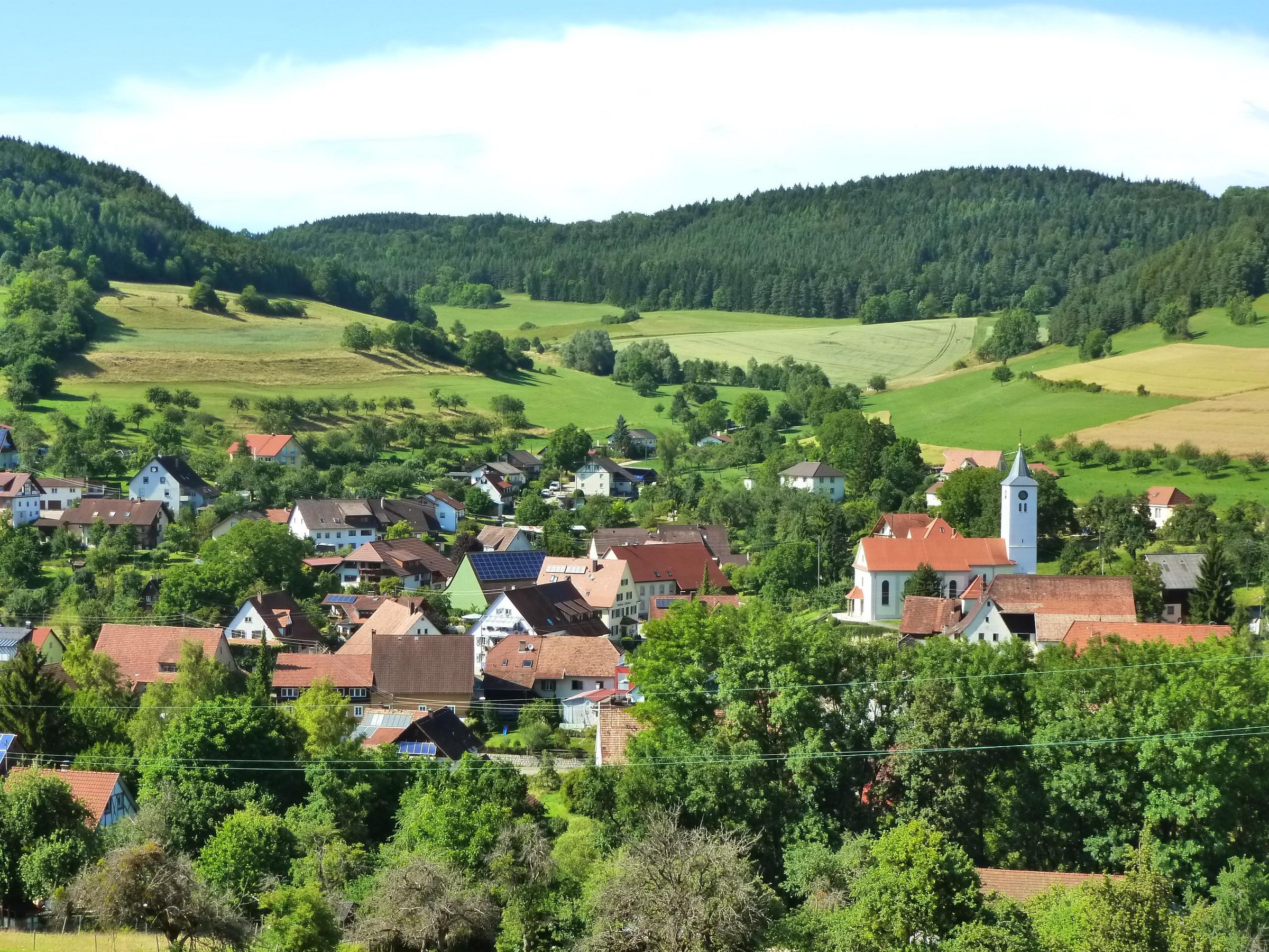 Schwaningen