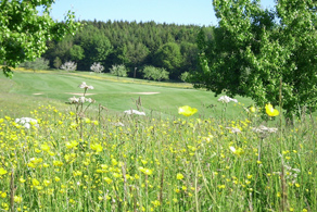 Natur hautnah erleben